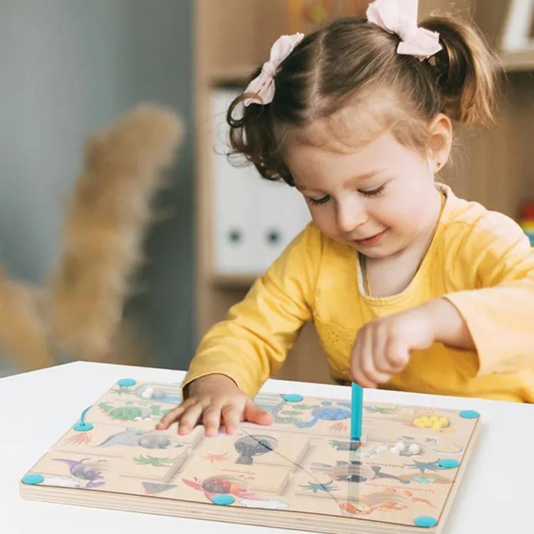 Educational Magnetic Dinosaurs Maze - Learn Colors and Counting