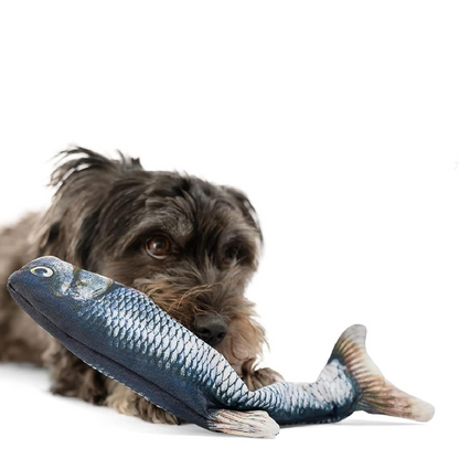 Floppy Fish - Interactive Dog Toy