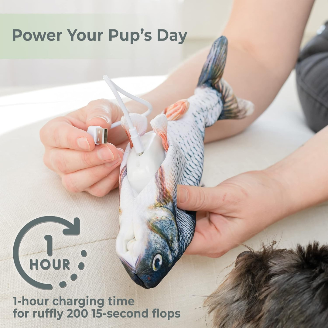 Floppy Fish - Interactive Dog Toy