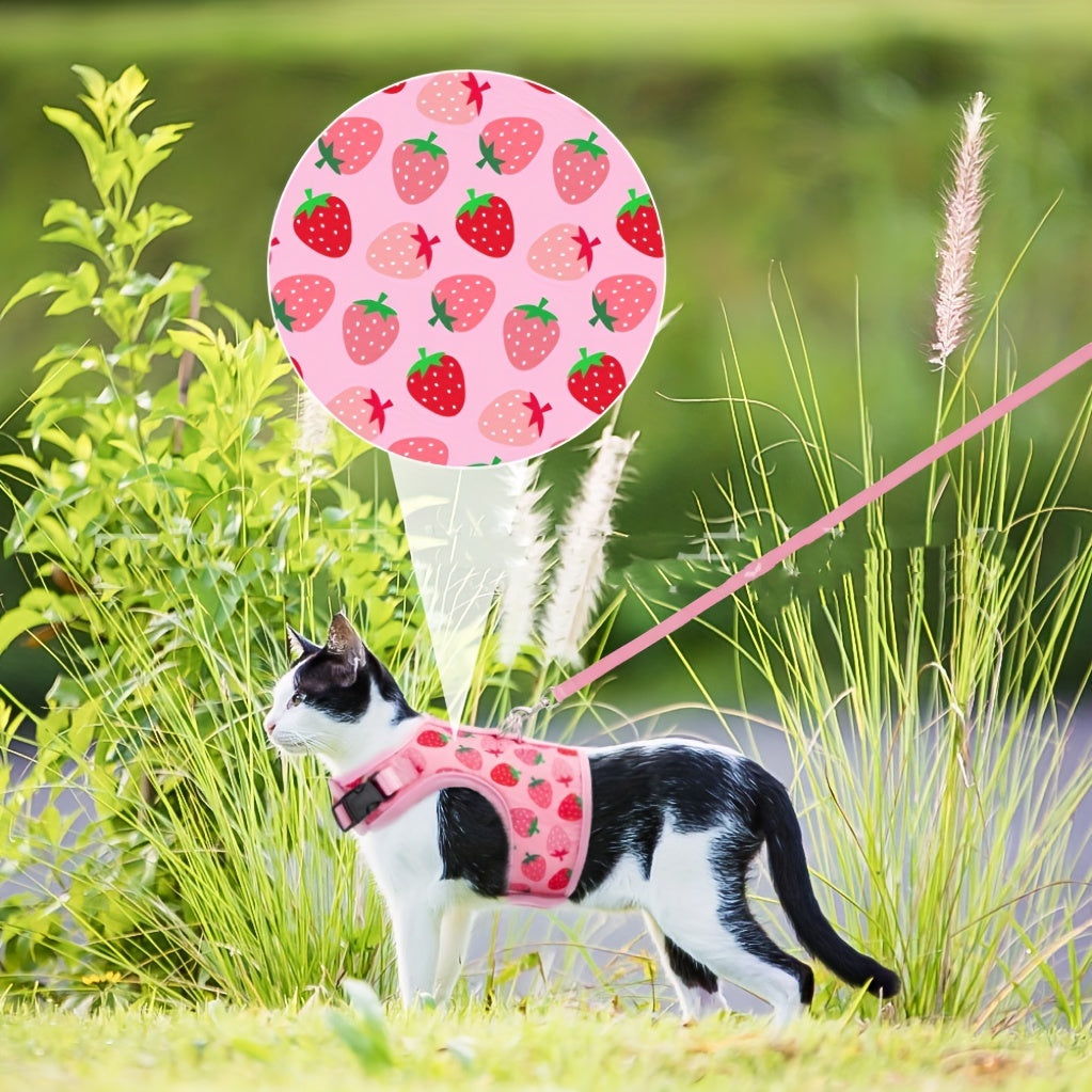 KittyComfort Harness Set - For Pleasant Walks and Adventure