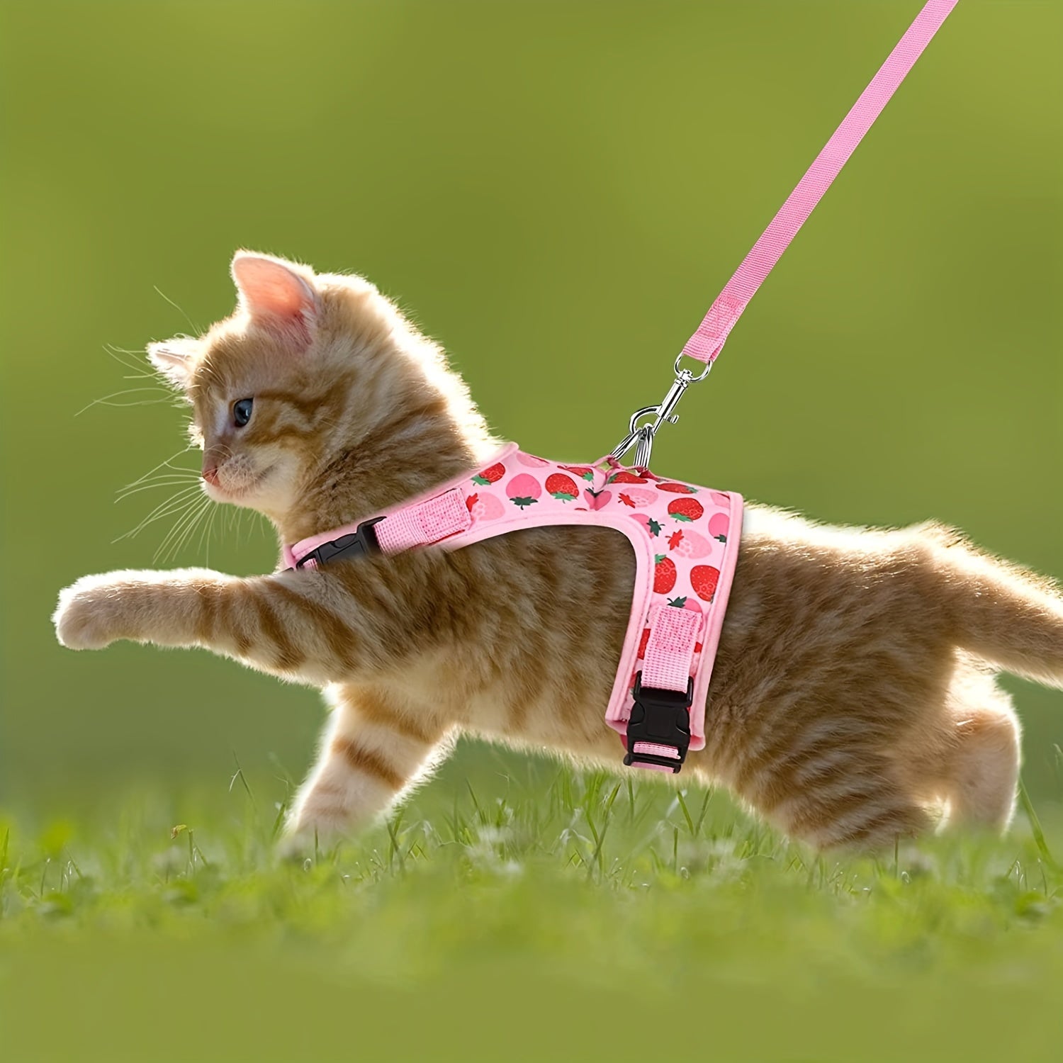 KittyComfort Harness Set - For Pleasant Walks and Adventure