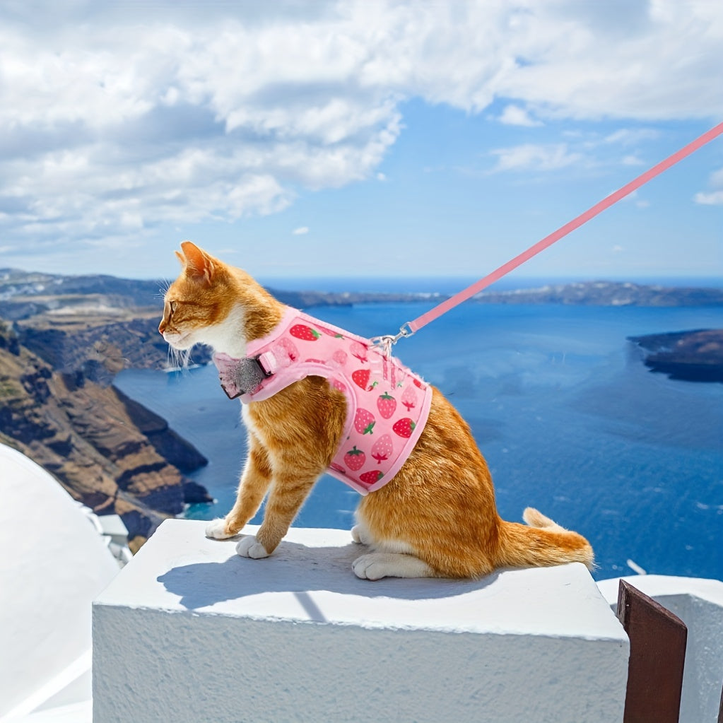 KittyComfort Harness Set - For Pleasant Walks and Adventure