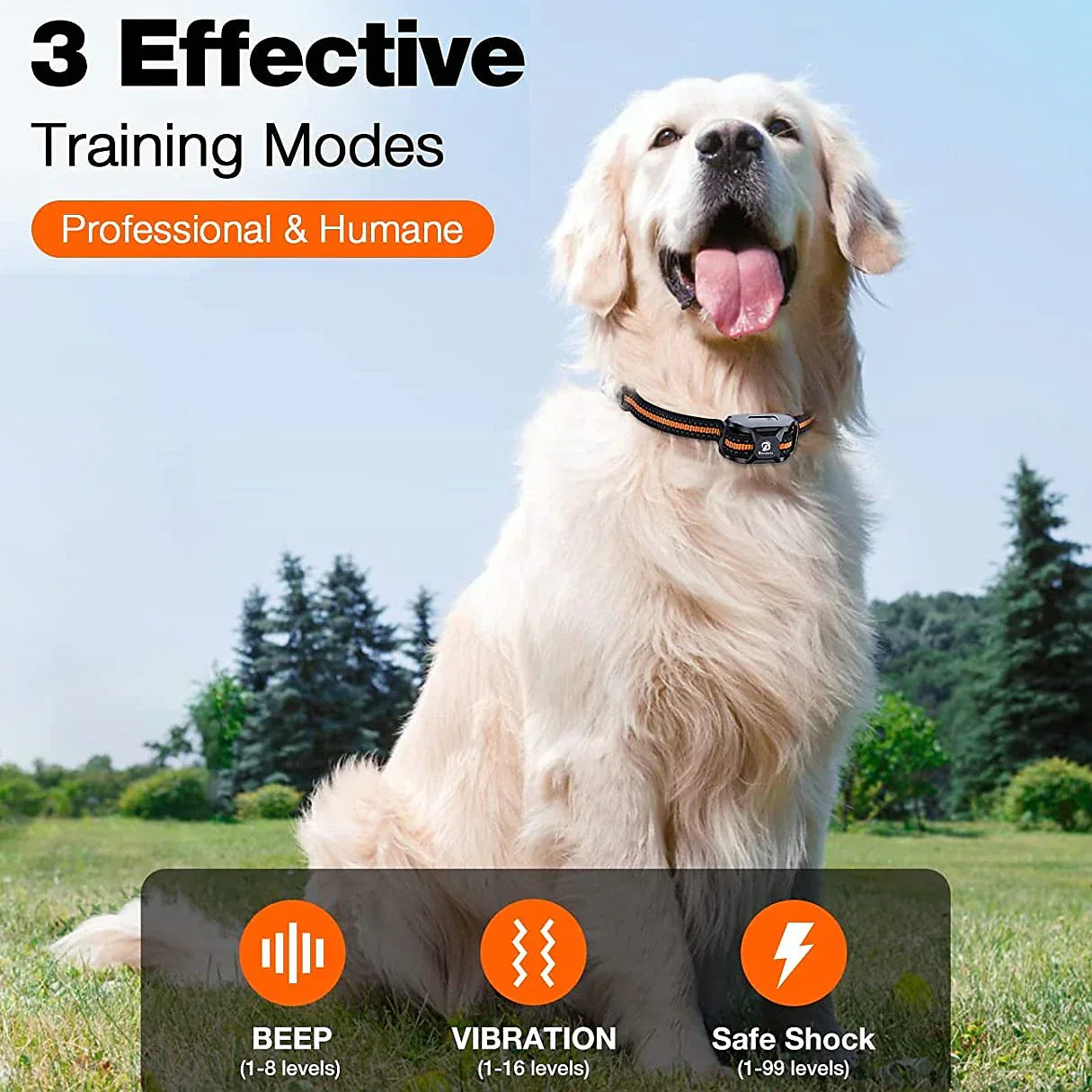 Maximum Control Training Collar - For Effective Training