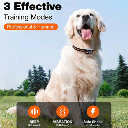 Maximum Control Training Collar - For Effective Training