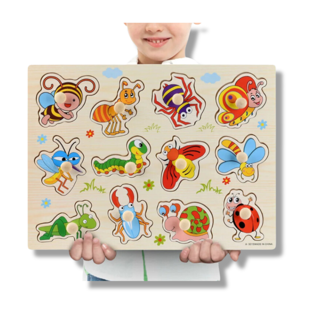 Montessori Wooden Puzzles