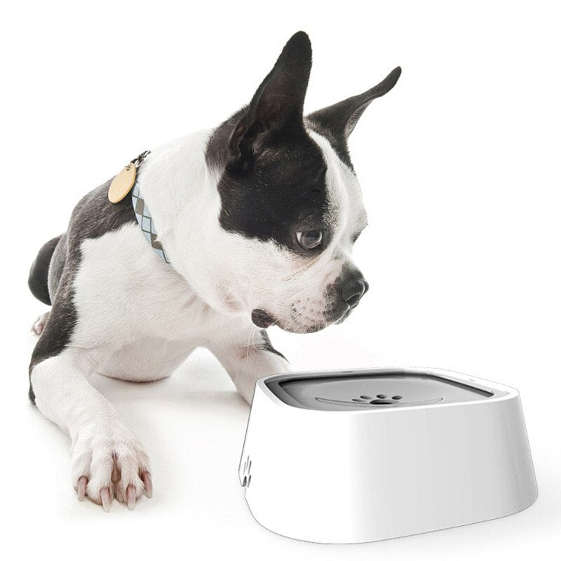 PawsFlow Drinking Fountain - For a Clean Drinking Experience for your Dog