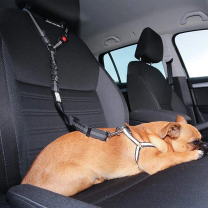 PetSafe - Adjustable Car Seat Belt for Dogs