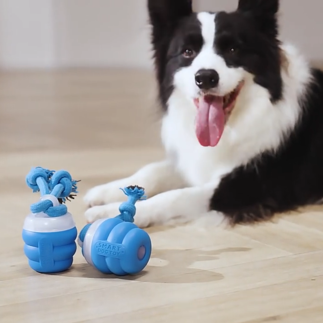 Smart Tail - Interactive Dog Toy