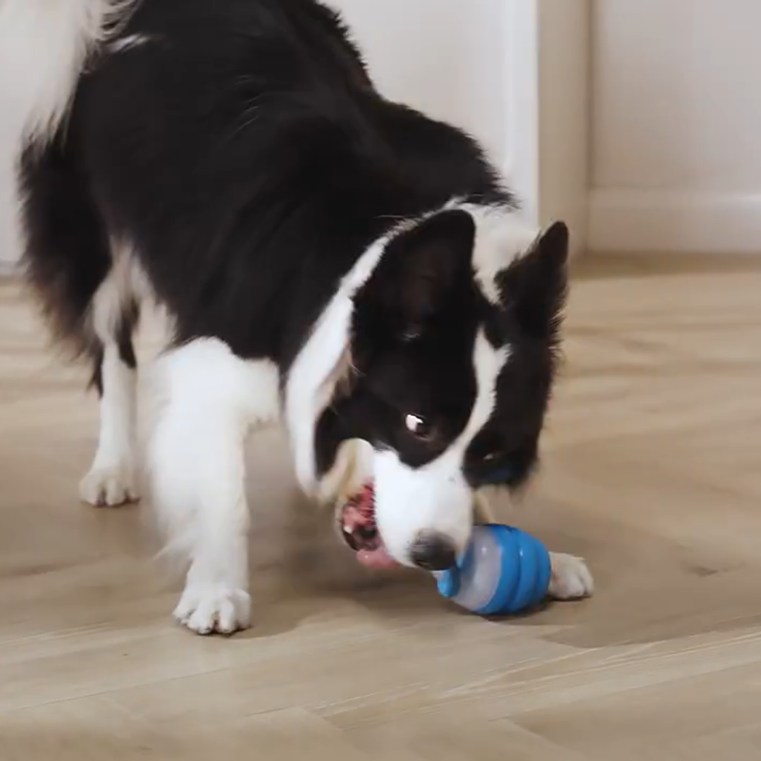 Smart Tail - Interactive Dog Toy