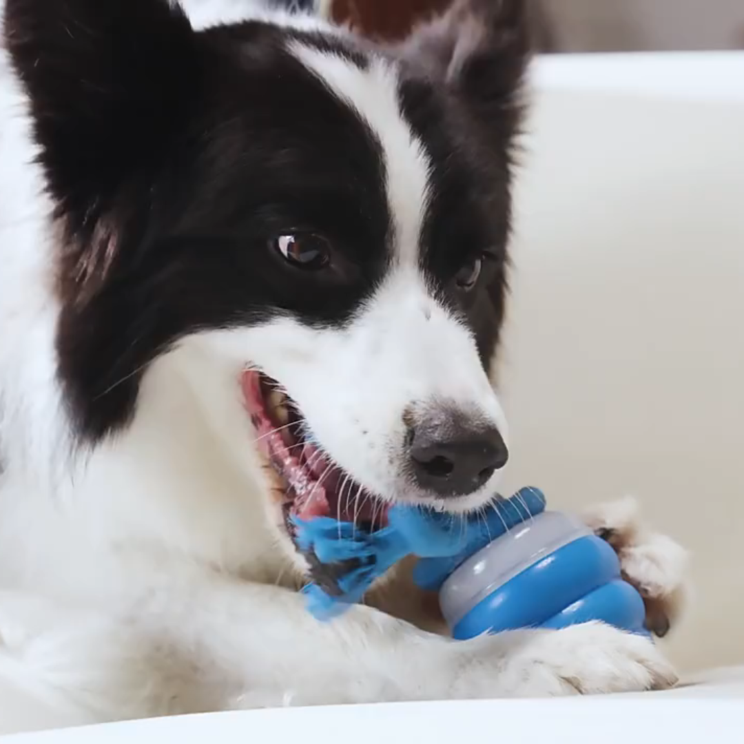 Smart Tail - Interactive Dog Toy