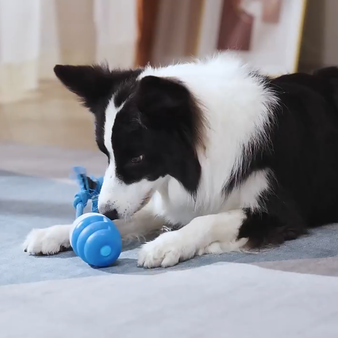 Smart Tail - Interactive Dog Toy