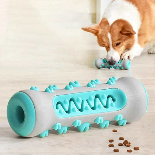 Treat Play Roll for Dogs – Fun and Reward in One